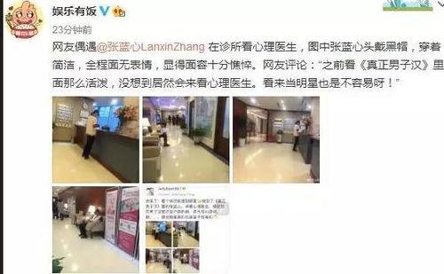 娱乐圈抑郁症爆料,揭开明星心理困境的真相 第1张 娱乐圈抑郁症爆料,揭开明星心理困境的真相 第1张